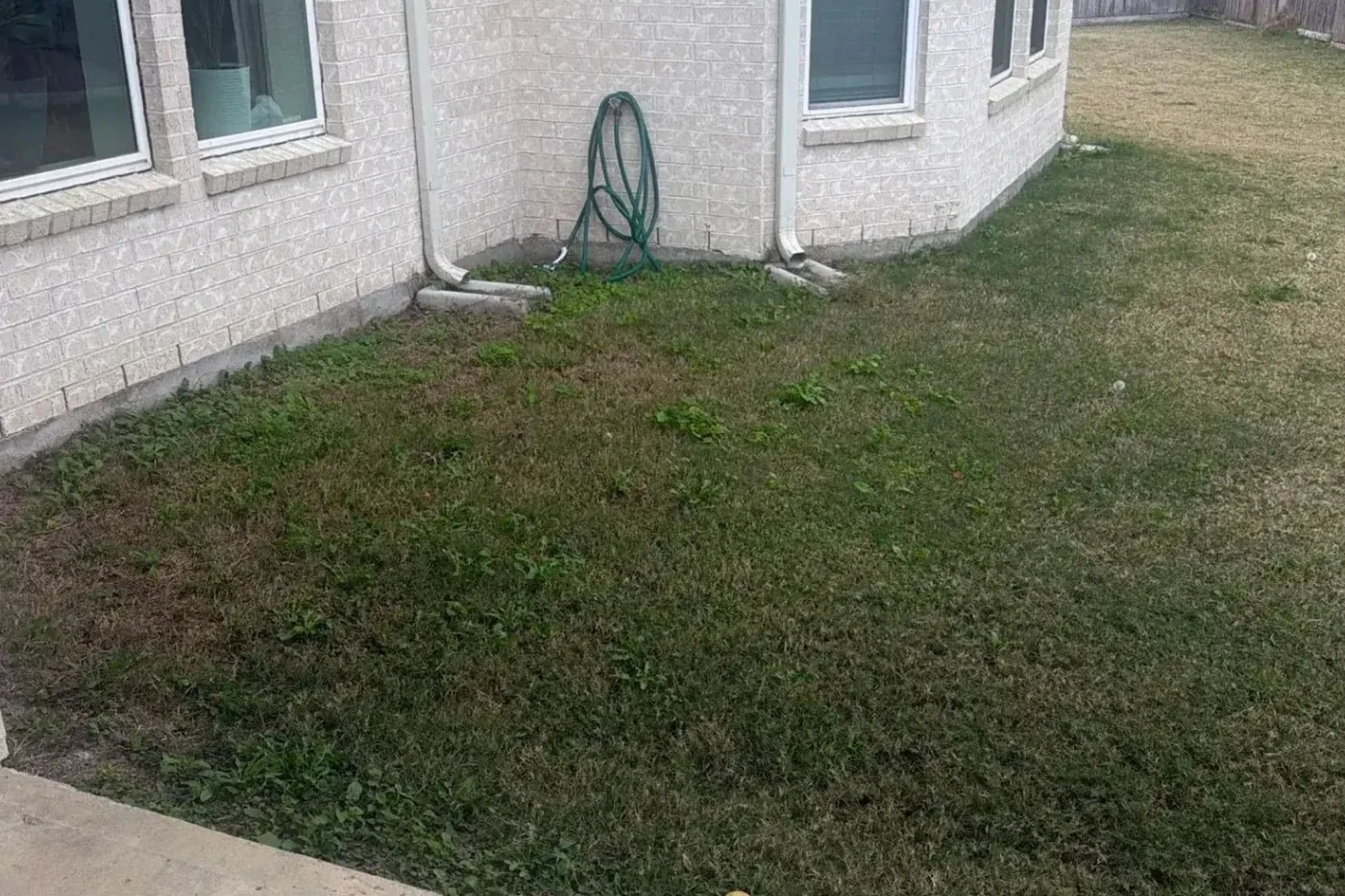 Backyard along the house before a concrete patio was poured
